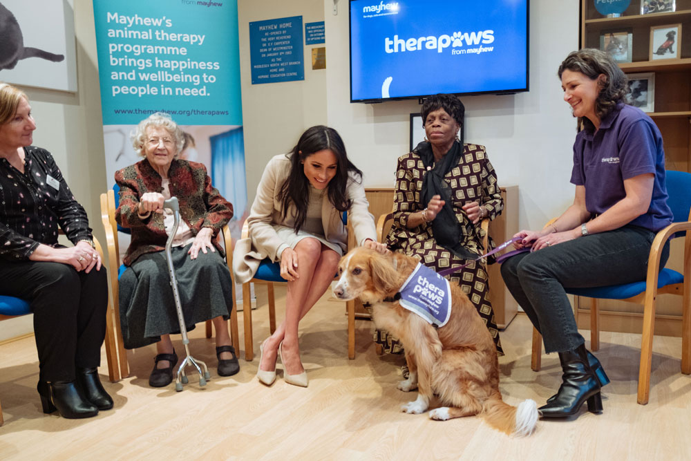 Duchess of Sussex meets Therapy dogs at Mayhew